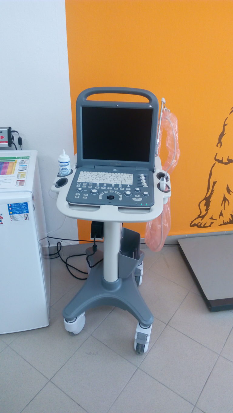 Nový Sonografický Přístroj Pro Diagnostiku Onemocnění Dutiny Břišní A Gravidity